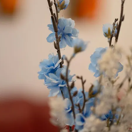 H&o Limnaria Elegance Pool View 公寓 *