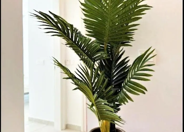 H&o Limnaria Elegance Pool View Paphos