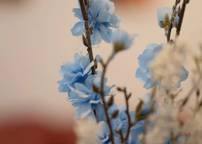 H&o Limnaria Elegance Pool View Lejlighed *